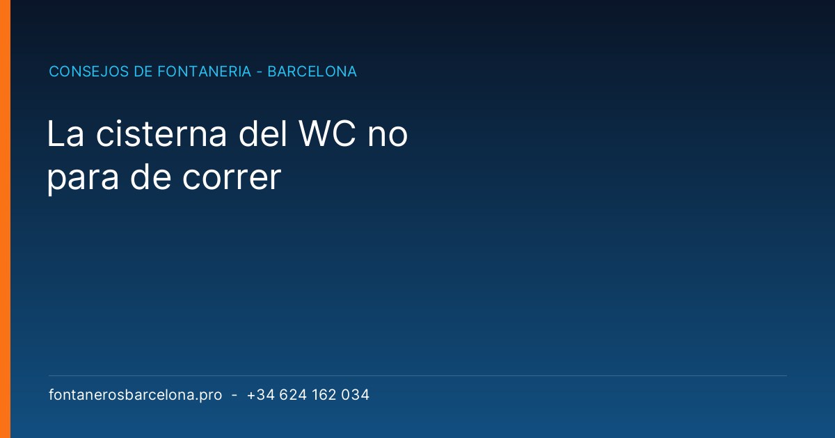 La cisterna del WC no para de correr - Fontaneros Barcelona Pro